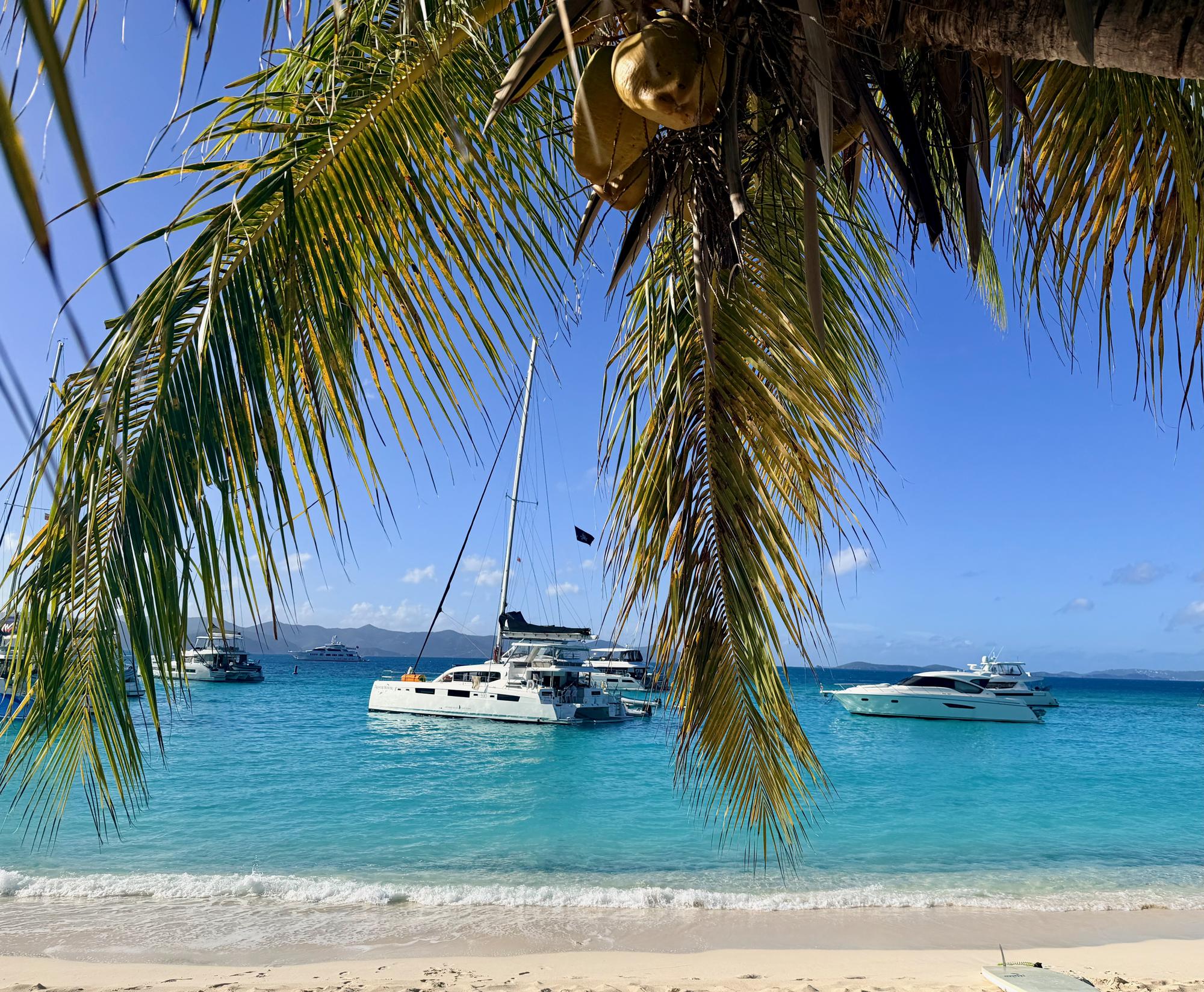 White Bay anchorage seen through palm trees from Jost Van Dyke, with charter boats moored offshore.