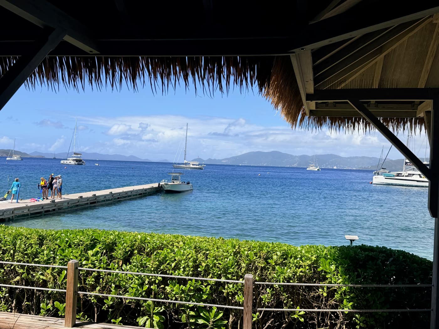 View from inside the Cooper Island Beach Club looking out through a thatched roof over the Sir Francis Drake Channel, with a dock and dinghies below.