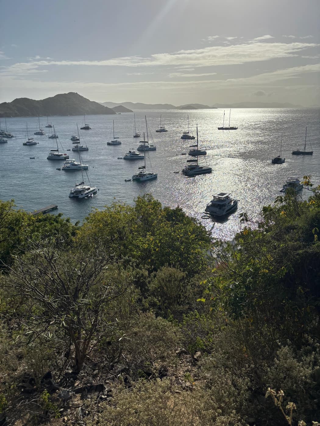 View from the Cooper Island hilltop hike looking down over Manchioneel Bay's mooring field at sunset, boats catching the last light.